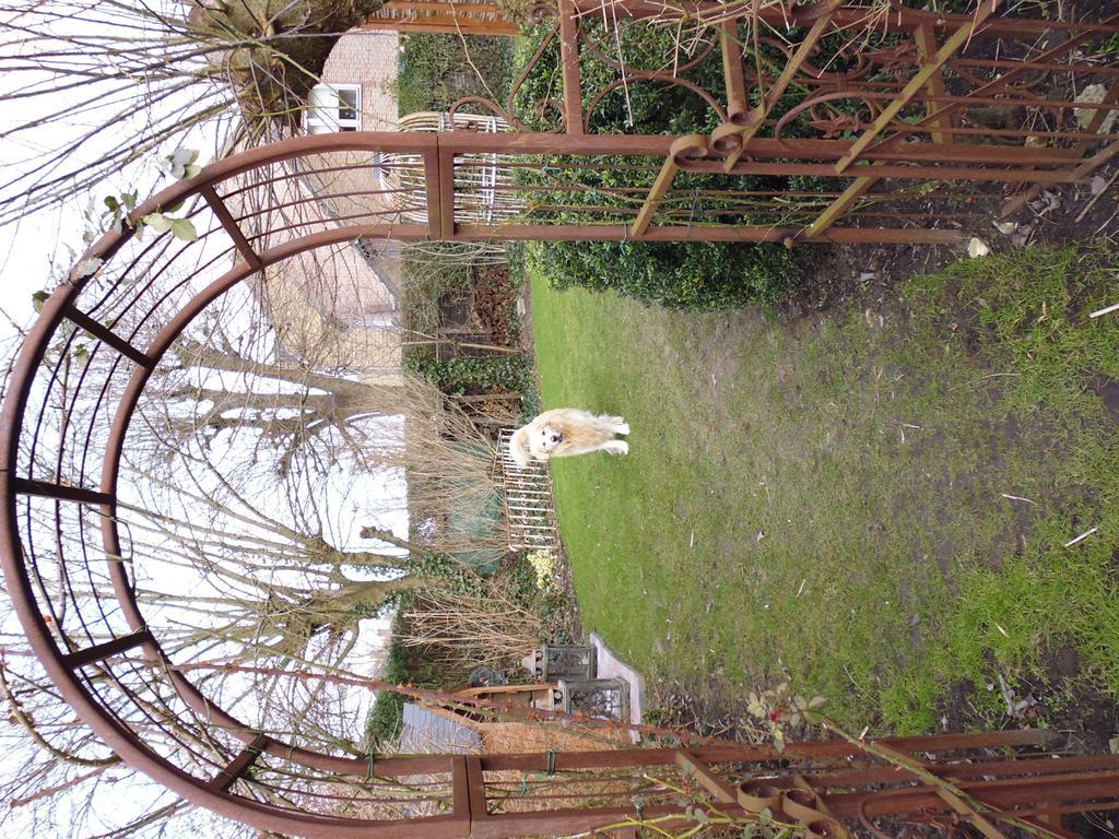 B&B De Vijf Zuilen บรูจส์ ภายนอก รูปภาพ